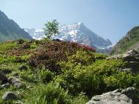 Youri - Ecrins 2005 047